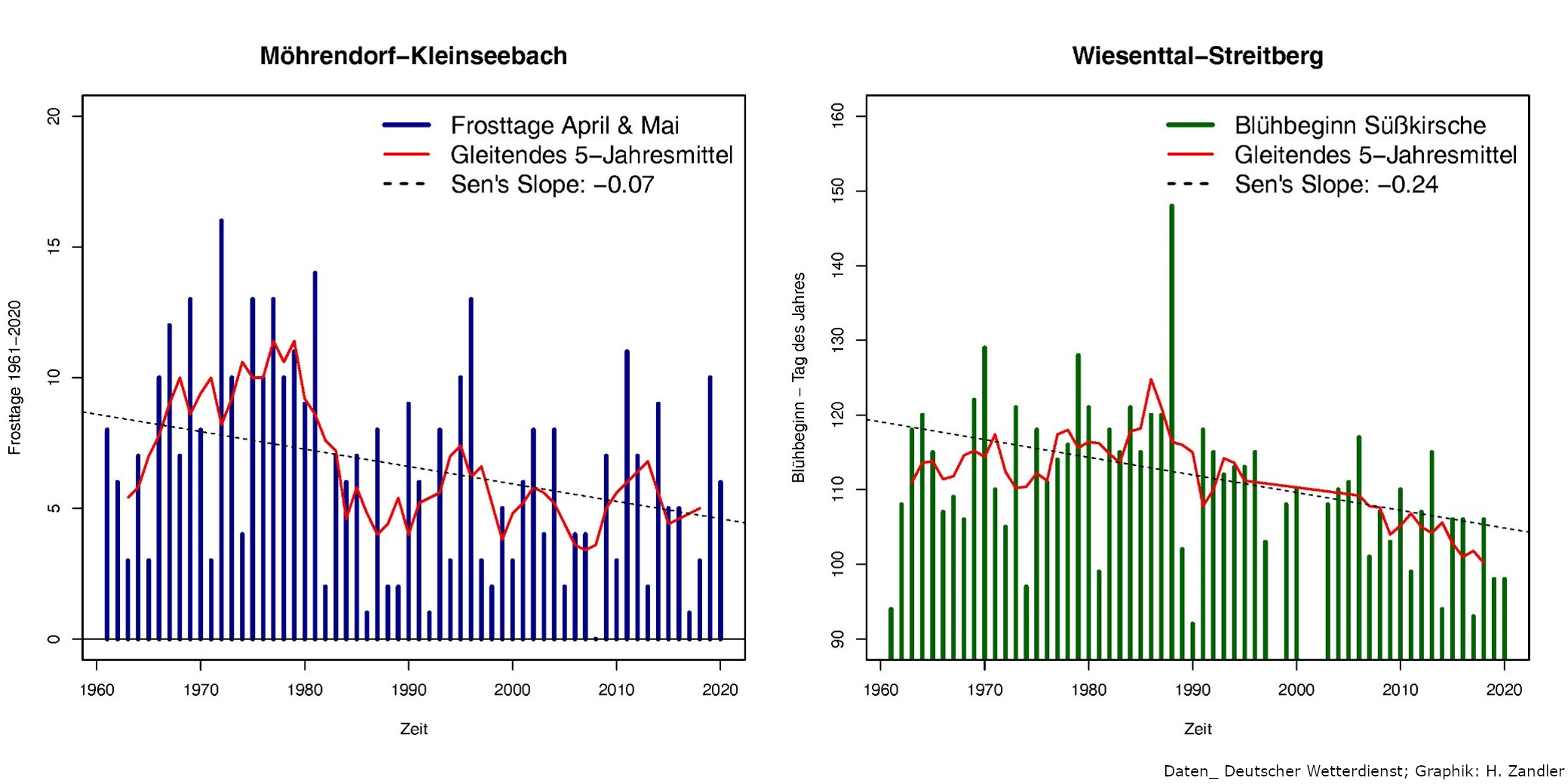 Frosttage und Kirschblüte